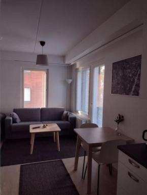 New apparment near of Airport, in Tikkurila